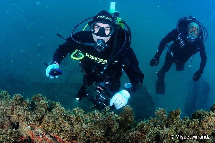 Double Dive in the Algarve — Albufeira Scuba Day Trip to Caves & Reefs photo 5