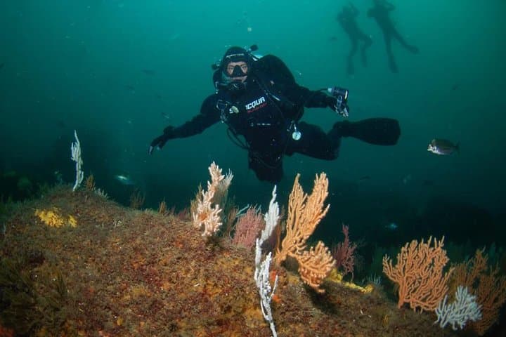 Double Dive in the Algarve — Albufeira Scuba Day Trip to Caves & Reefs photo 3