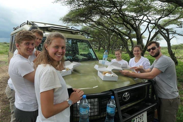 Serengeti, Ngorongoro & Tarangire: 4-Day Safari to See the Big Five photo 4