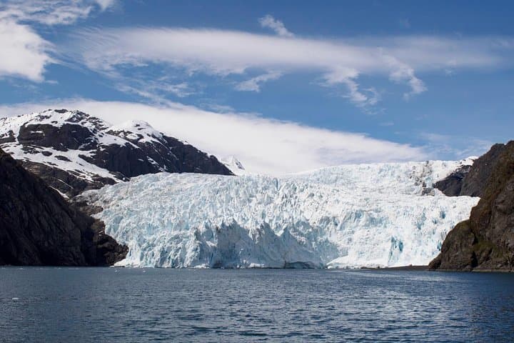Kenai Fjords Glacier & Wildlife Cruise from Seward — Aialik & Holgate Views photo 6