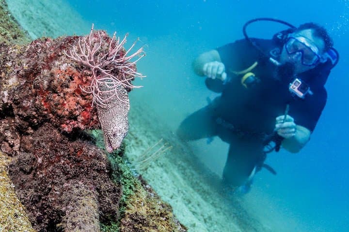 Discover Scuba at Las Caletas: Beginner PADI Dive in Puerto Vallarta photo 3