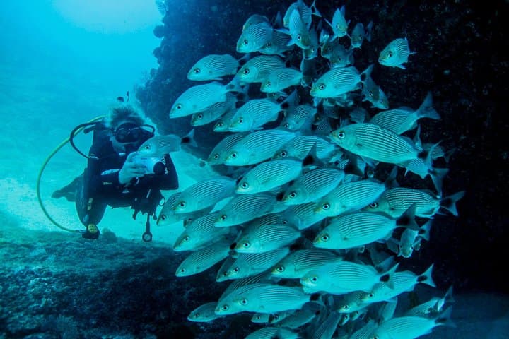 Discover Scuba at Las Caletas: Beginner PADI Dive in Puerto Vallarta photo 2