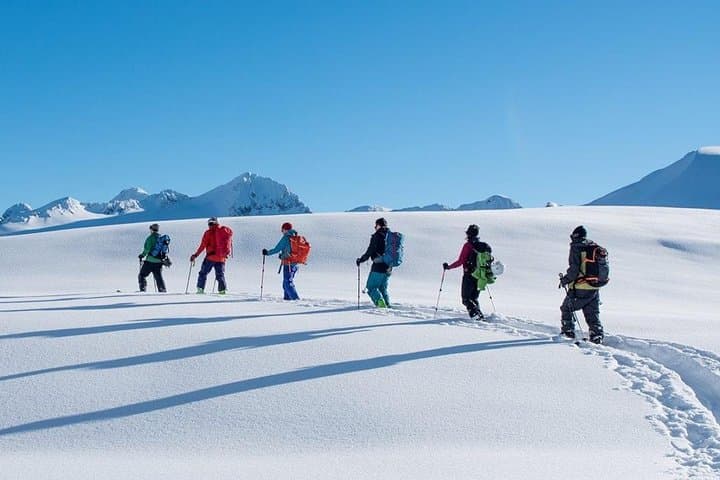 Whistler Backcountry Skiing and Splitboarding: Guided Powder Tours from the Gondola photo 6