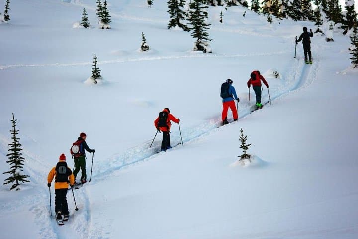 Whistler Backcountry Skiing and Splitboarding: Guided Powder Tours from the Gondola photo 2
