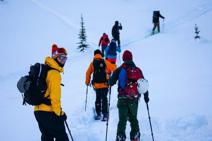 Whistler Backcountry Skiing and Splitboarding: Guided Powder Tours from the Gondola photo 4