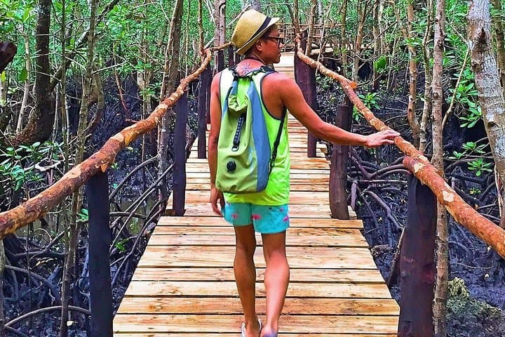 Jozani Half-Day Walking Tour: Up-Close Encounters with Zanzibar's Red Colobus photo 2