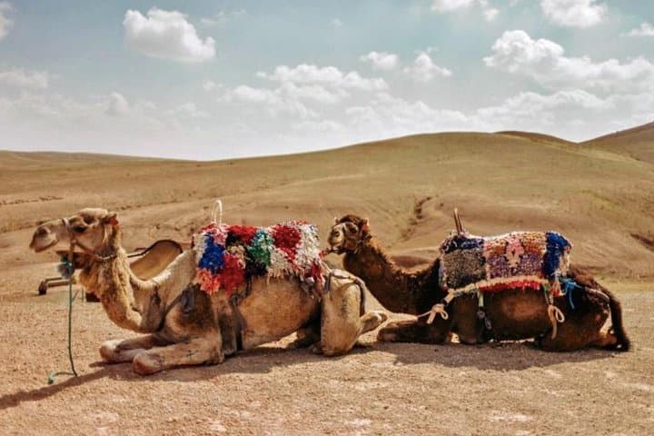 Luxury 3-Day Sahara Tour: Camel Trek & Erg Chebbi Desert Camp
