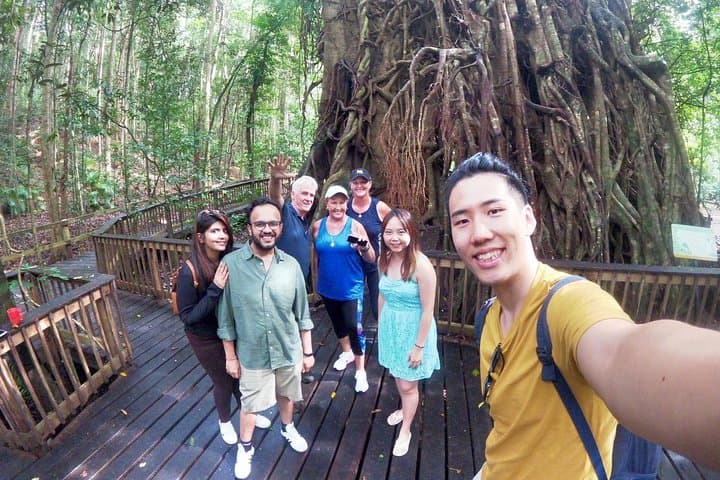 Private Half-Day World Heritage Rainforest & Barron Falls Tour from Cairns photo 4