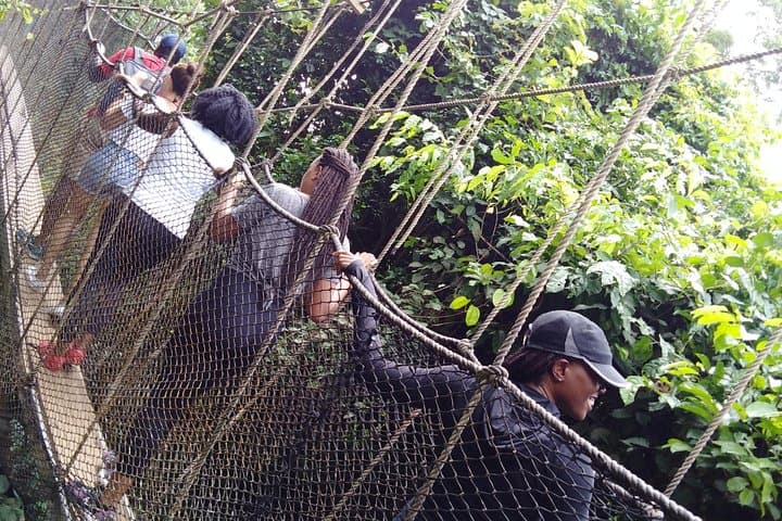 Cape Coast Castles & Kakum Canopy Walk — Full-Day Private Tour from Accra photo 5