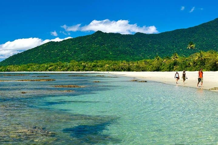 Private Cape Tribulation & Mossman Gorge Day Tour — Daintree Rainforest Day Trip from Cairns photo 4