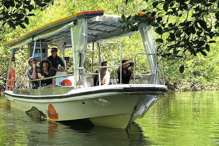 Private Cape Tribulation & Mossman Gorge Day Tour — Daintree Rainforest Day Trip from Cairns photo 2