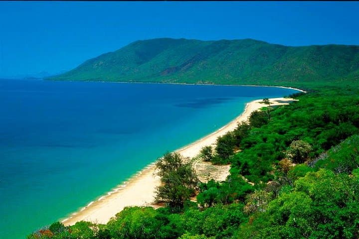 Private Cape Tribulation & Mossman Gorge Day Tour — Daintree Rainforest Day Trip from Cairns photo 6
