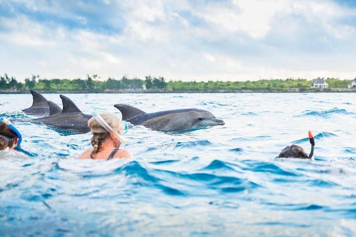 Zanzibar Dolphin Tour — Ethical Dolphin Swim, Snorkel & Island Picnic photo 2