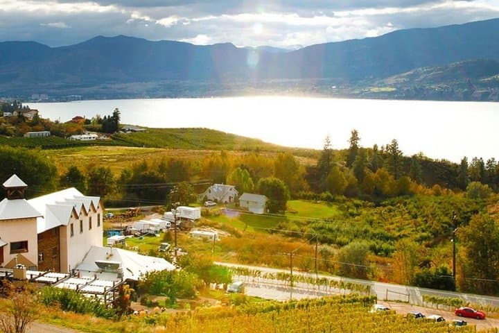 Day on the Naramata Bench: Full-Day Wine Tour from Vernon with 4 Wineries photo 2