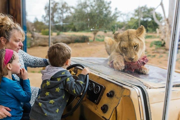 Werribee Open Range Zoo Safari — Melbourne’s African-Style Wildlife Experience photo 4