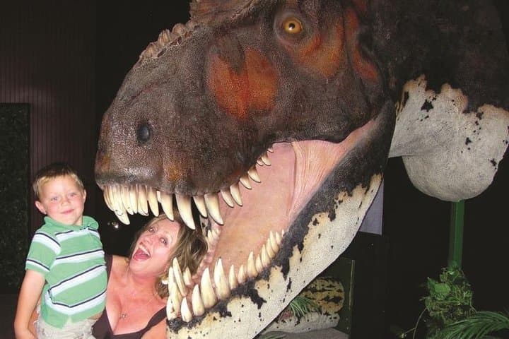 Exploring Branson Dinosaur Museum: Self-Guided Dinosaur Exhibits & Fossil Activities photo 4