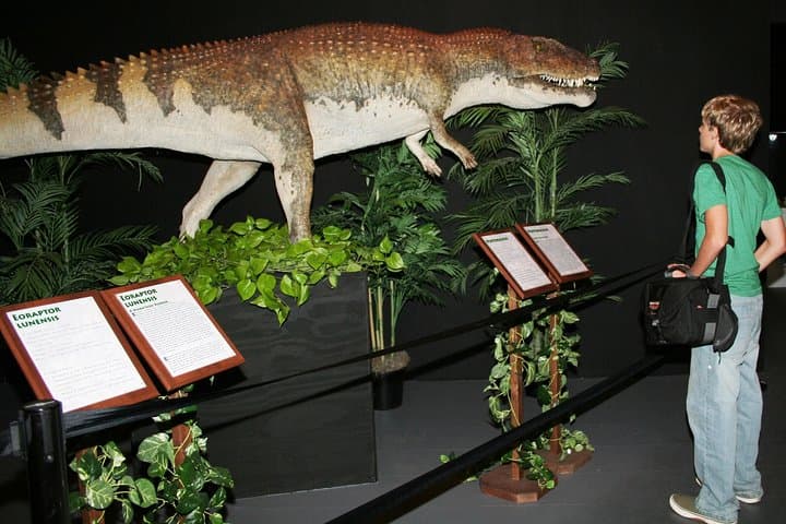 Exploring Branson Dinosaur Museum: Self-Guided Dinosaur Exhibits & Fossil Activities photo 5