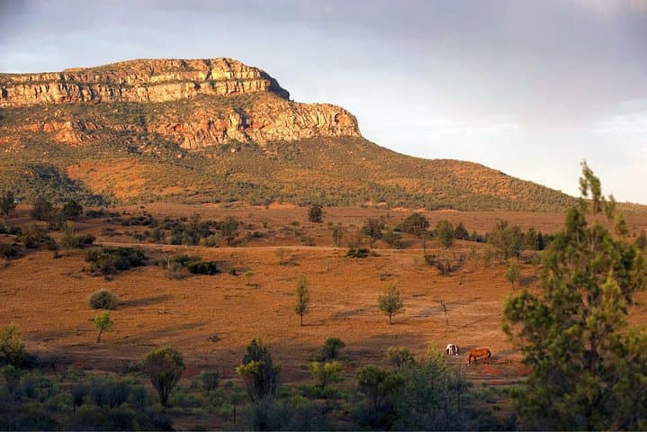 Flinders Ranges 3-Day 4WD Eco Tour from Adelaide — Wilpena Pound, Brachina & Bunyeroo photo 6