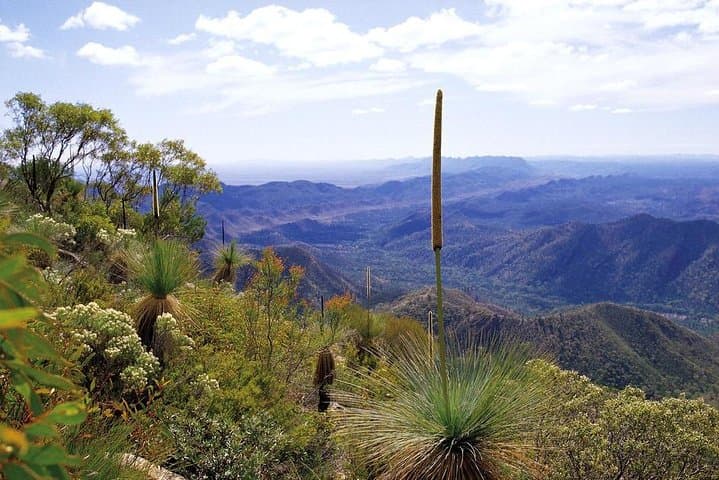 Flinders Ranges 5-Day Eco 4WD Safari from Adelaide — Arkaroola to Wilpena Pound photo 2