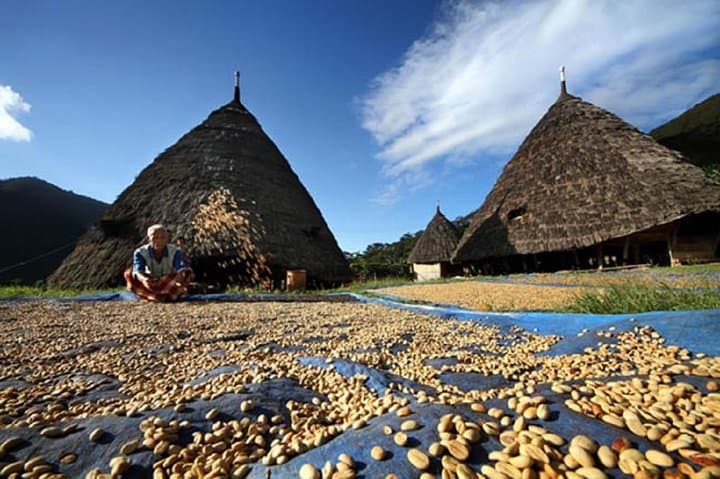 2-Day Private Cultural Trek to Wae Rebo Village — Overnight in Mbaru Niang Houses photo 5