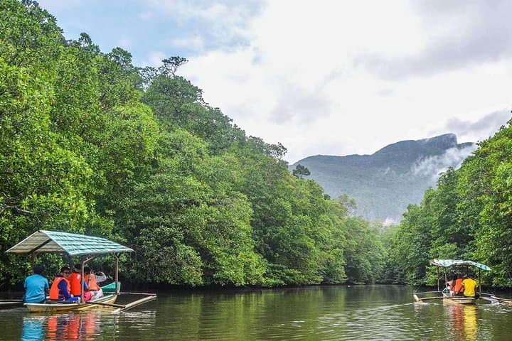 Sabang 3-in-1 Adventure: Underground River, Zipline & Mangrove Tour from Puerto Princesa