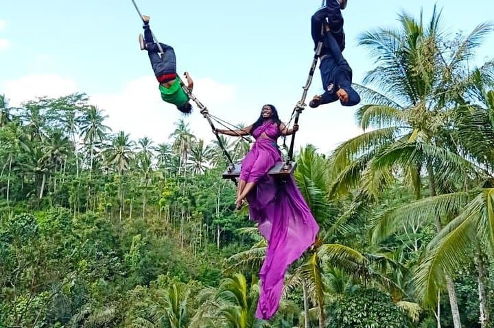 Private Ubud Tour: Rice Terraces, Ubud Swing, Temples & Waterfalls in One Day photo 3