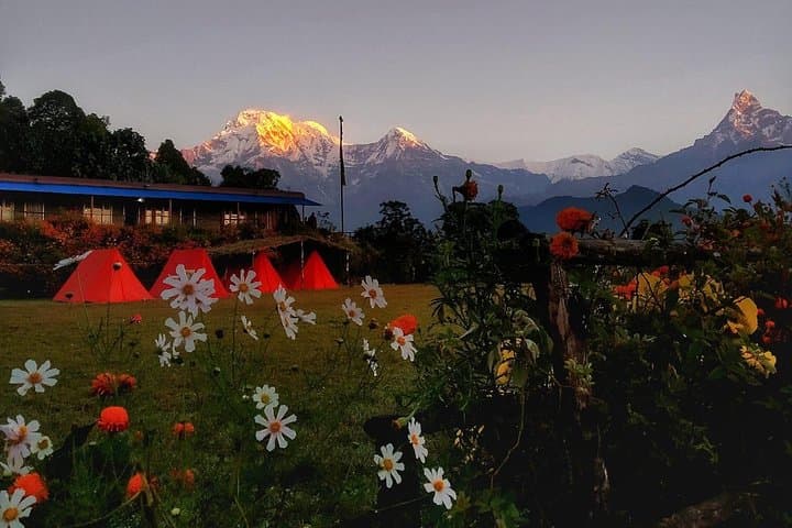 Mardi Himal Trek: 8-Day Annapurna Ridge Hike from Kathmandu photo 5