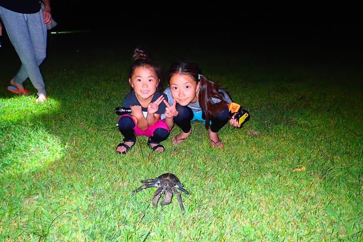 Iriomote Night Adventure: Guided Jungle Walk and Stargazing photo 2