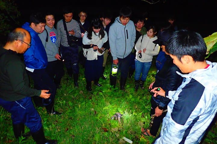 Iriomote Night Adventure: Guided Jungle Walk and Stargazing photo 5