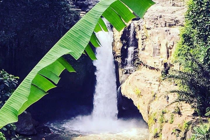 Ubud Iconic Waterfall and Temple Tour — Waterfalls, Rice Terraces & Monkey Forest photo 2