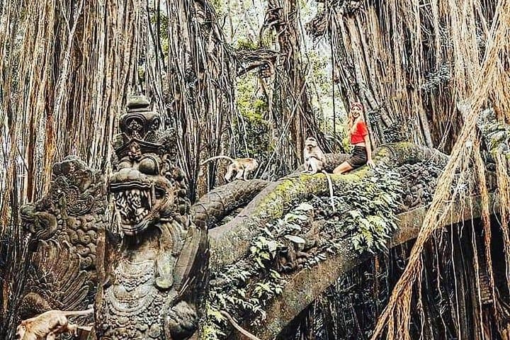 Ubud Iconic Waterfall and Temple Tour — Waterfalls, Rice Terraces & Monkey Forest photo 5
