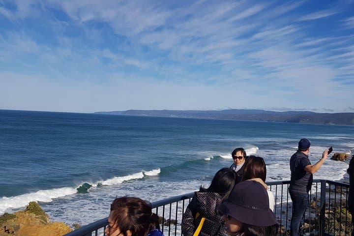 Private 12 Apostles Shore Excursion & Custom Melbourne Highlights Tour photo 4