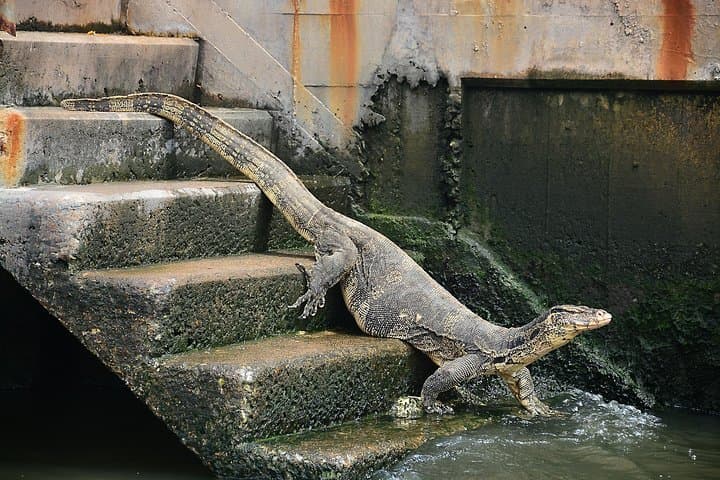 Timeless Thonburi Canal & Street Food Tour in Bangkok photo 4