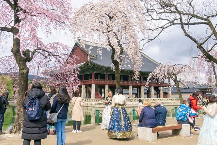 Seoul Highlights and Hidden Gems: Private Full-Day Photo Tour photo 2