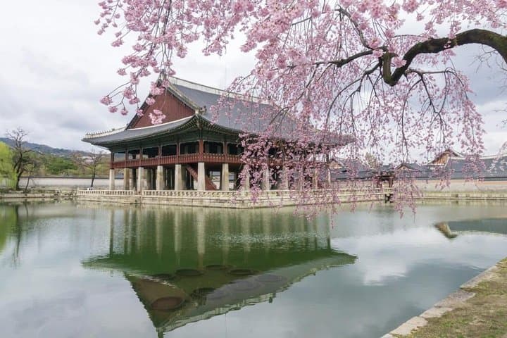 Seoul Highlights and Hidden Gems: Private Full-Day Photo Tour photo 1