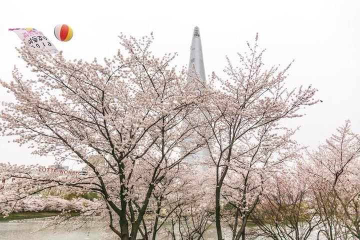 Seoul Highlights and Hidden Gems: Private Full-Day Photo Tour photo 4