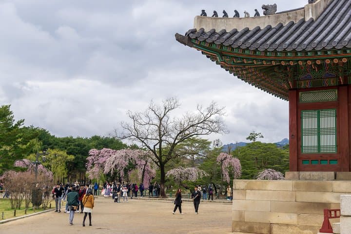 Seoul Highlights and Hidden Gems: Private Full-Day Photo Tour photo 3