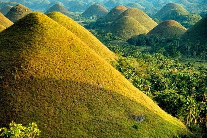 Half-Day Chocolate Hills, Tarsier & Loboc River Cruise — Bohol Private Tour photo 2