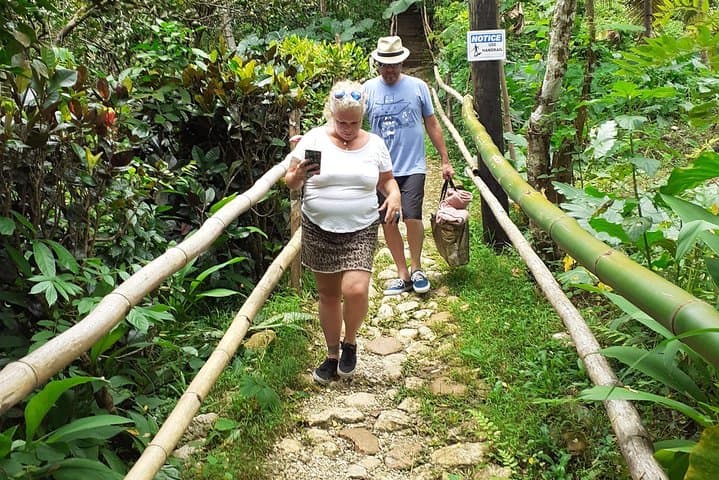 Mayfield Falls Nature Walk and Negril Hi-Light: Waterfalls, Cliffs, and Sunset at Rick’s Cafe photo 5