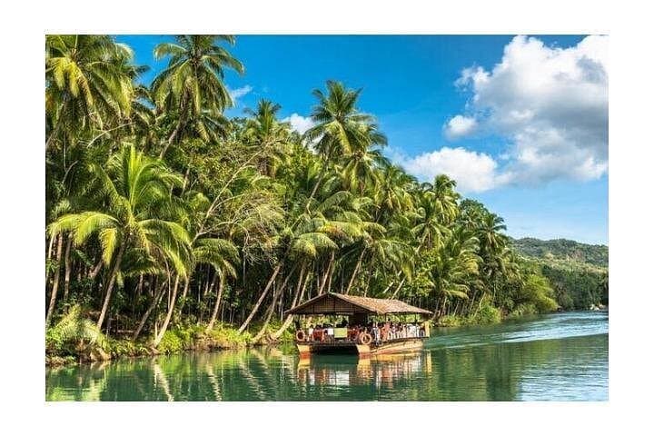 Half-Day Chocolate Hills, Tarsier & Loboc River Cruise — Bohol Private Tour photo 4