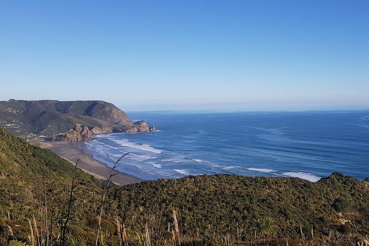 Explore Piha and Muriwai Beaches: West Coast Discovery from Auckland photo 2