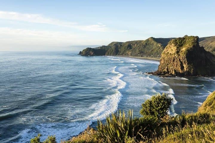 Explore Piha and Muriwai Beaches: West Coast Discovery from Auckland