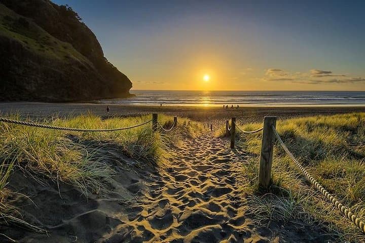 Explore Piha and Muriwai Beaches: West Coast Discovery from Auckland photo 3