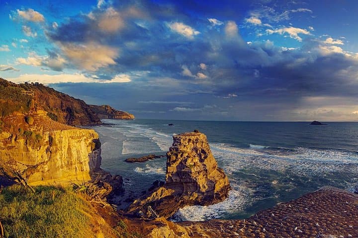 Explore Piha and Muriwai Beaches: West Coast Discovery from Auckland photo 5
