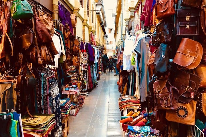Granada Private Guided Walking Tour: Alhambra, Albaicín & Sacromonte in 3 Hours photo 2