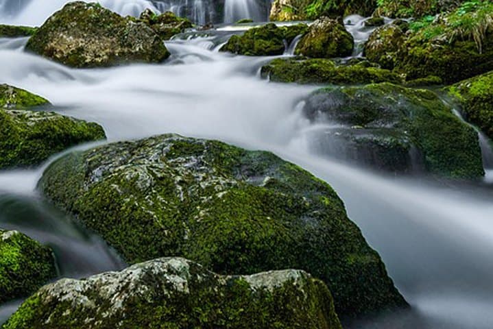 Bishnu Dwar Shivapuri Day Hike from Kathmandu: Ridge Views & Sacred Springs photo 3