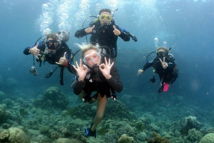 Scuba Diving from Kemer: Two Guided Bay Dives Near Antalya photo 5