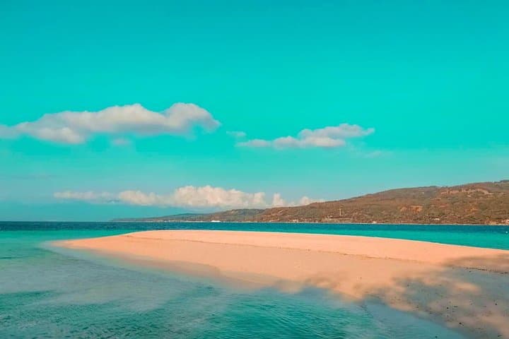 Oslob Whale Sharks, Sumilon Sandbar & Kawasan Falls: Full-Day South Cebu Adventure photo 6
