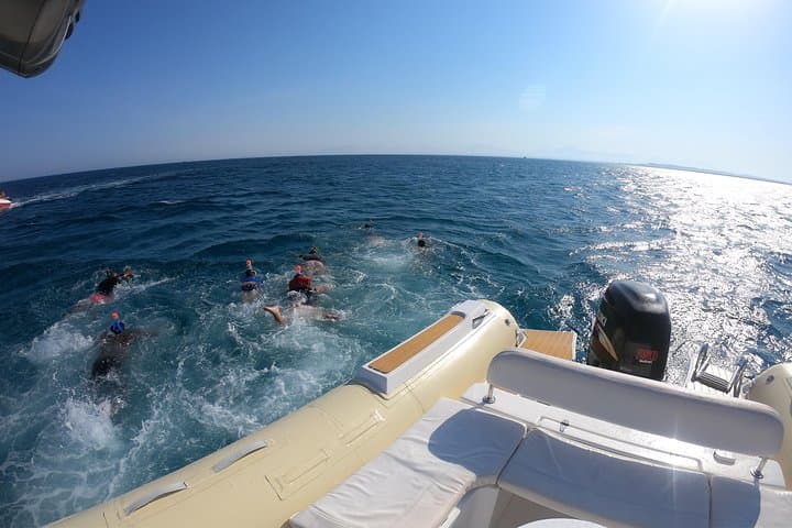Private Dolphin Watching and Snorkeling Tour in Hurghada — Red Sea Encounters photo 6