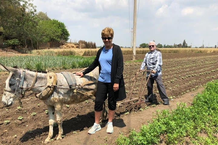 Nile Delta Farm Tour: Authentic Countryside Day Trip from Cairo